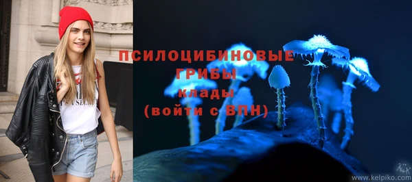 2c-b Абинск