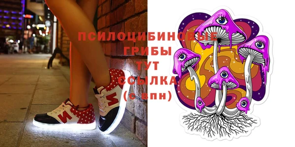 2c-b Абинск
