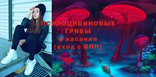 2c-b Абинск